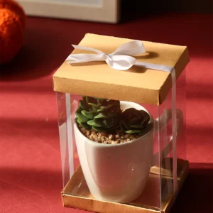 جعبه طلقی کد 115