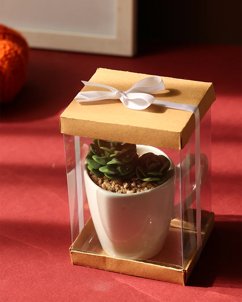 جعبه طلقی کد 115