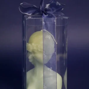 جعبه طلقی کد 131